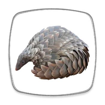 Pangolin dessiné à la main - Magnet carré - blanc - Devant