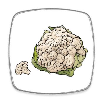 chou-fleur - Magnet carré - blanc - Devant