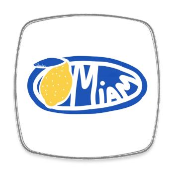 Lemon Yum Blue Retro Oval Logo - Viereckiger Kühlschrankmagnet - Weiß - Vorne