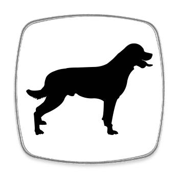Chien - Magnet carré - blanc - Devant