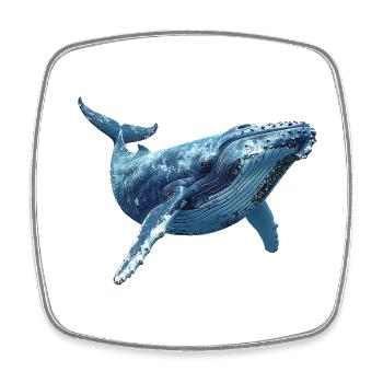 Baleine à bosse - Magnet carré - blanc - Devant