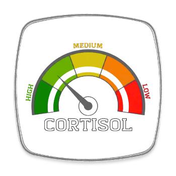 Funny Low cortisol Hilarious Stress Free Cortisol - Square fridge magnet - white - Front
