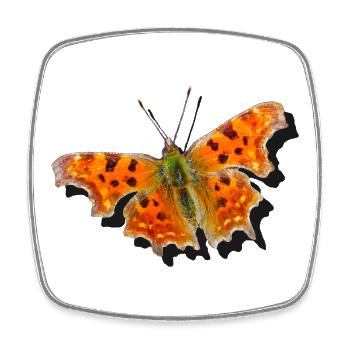 Orange Butterfly C-Butterfly - Square fridge magnet - white - Front