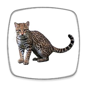 Artistic Leopard - Square fridge magnet - white - Front