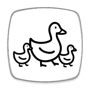 famille canard - Magnet carré - blanc - Devant
