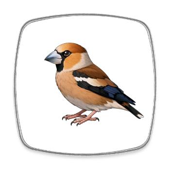 Oiseau du fourreau - Magnet carré - blanc - Devant