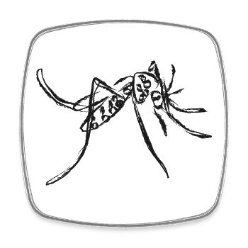 Black Mosquito – Instecte Illustration - Square fridge magnet - white - Front