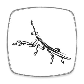 Schwarze Heuschrecke – Insektenillustration - Viereckiger Kühlschrankmagnet - Weiß - Vorne