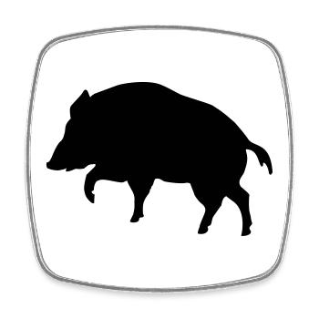 boar - Square fridge magnet - white - Front