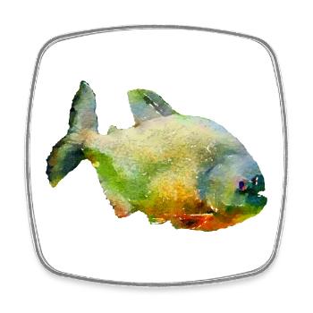 piranha - Square fridge magnet - white - Front