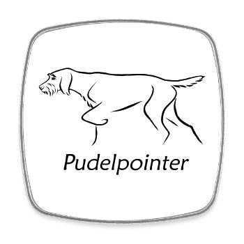 Pointeur caniche - Magnet carré - blanc - Devant
