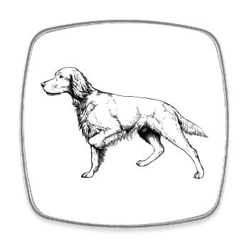 Setter vorstehend - Viereckiger Kühlschrankmagnet - Weiß - Vorne