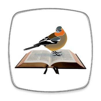 Pinsons sur livre - Magnet carré - blanc - Devant