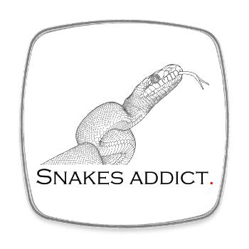 Snakes addict - Square fridge magnet - white - Front