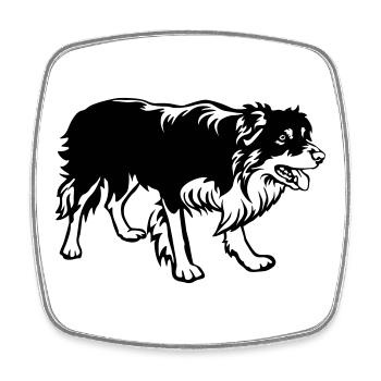 Border Collie - Magnet carré - blanc - Devant
