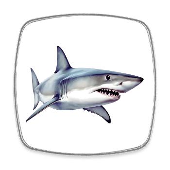 Shark - Square fridge magnet - white - Front