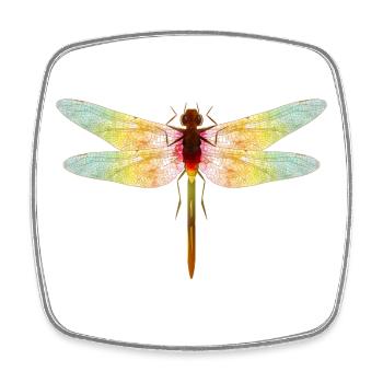 Iridescent Dragonfly – Filigree Insect Motif - Square fridge magnet - white - Front