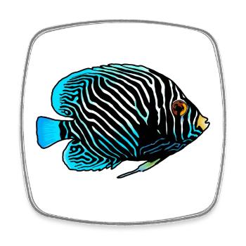 Poissons exotiques - Magnet carré - blanc - Devant