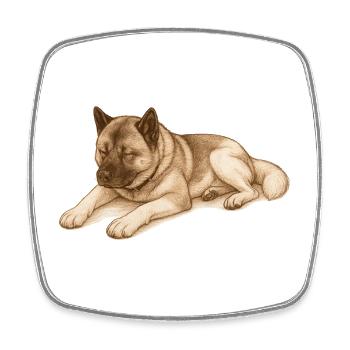 Sleeping American Akita - Square fridge magnet - white - Front