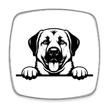 Badge Kangal noir - Magnet carré - blanc - Devant