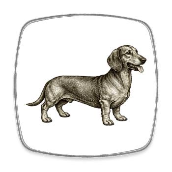 Dackel Vintage Illustration - Viereckiger Kühlschrankmagnet - Weiß - Vorne
