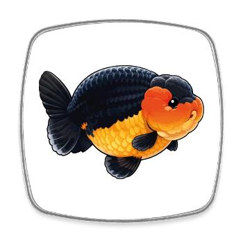 Poisson rouge de haute qualité Ranchu Orange Noir - Magnet carré - blanc - Devant
