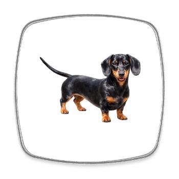 Black dachshund with red accents - Square fridge magnet - white - Front