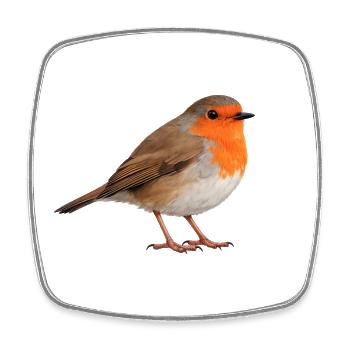 Robin - Square fridge magnet - white - Front