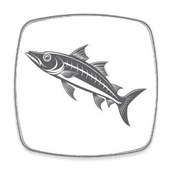 Barracuda - Magnet carré - blanc - Devant
