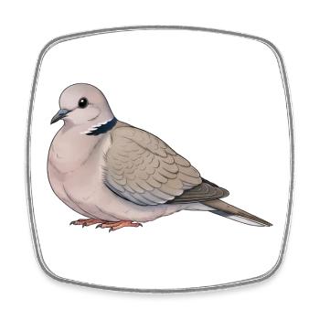 Eurasian pigeon - Square fridge magnet - white - Front