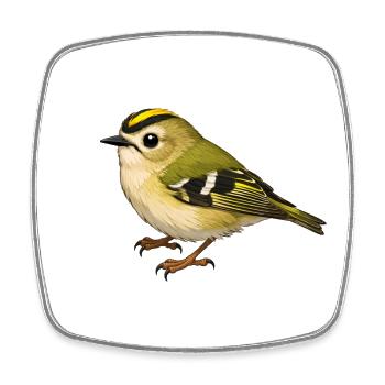 Goldcrest Bird - Square fridge magnet - white - Front