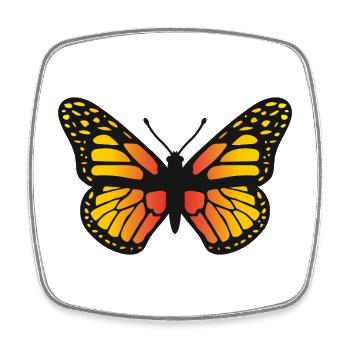 Bunte Schmetterlingsillustration Naturkunst-Ikone Sy - Viereckiger Kühlschrankmagnet - Weiß - Vorne