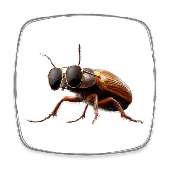 Maikäfer Süßer Hirschkäfer Nashornkäfer Insekten - Viereckiger Kühlschrankmagnet - Weiß - Vorne