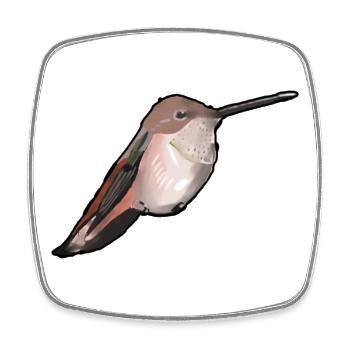 Kolibri im Abendlicht - Viereckiger Kühlschrankmagnet - Weiß - Vorne