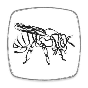Black Bee – Instecte Illustration - Square fridge magnet - white - Front