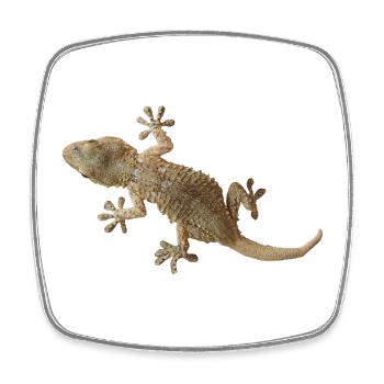 Gecko - Magnet carré - blanc - Devant