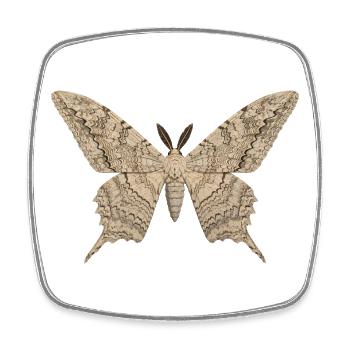 Papillon de nuit sorcière blanche Thysania agrippina Style dessin animé - Magnet carré - blanc - Devant