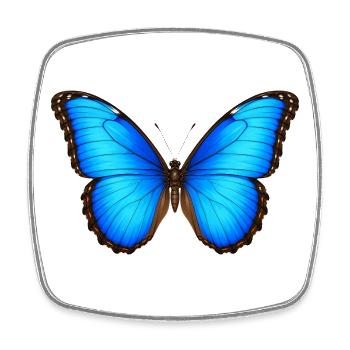 Blue Morpho Schmetterling Morpho Art Cartoon-Stil - Viereckiger Kühlschrankmagnet - Weiß - Vorne
