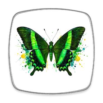 Smaragdschwalbenschwanz Papilio palinurus Schmetterling - Viereckiger Kühlschrankmagnet - Weiß - Vorne