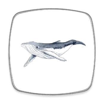 Baby-Buckelwal – Baleine - Viereckiger Kühlschrankmagnet - Weiß - Vorne