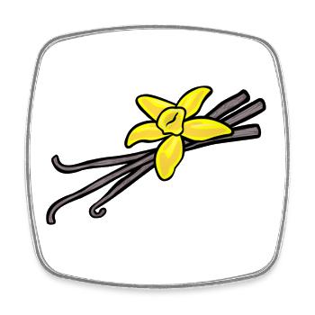 Vanilleblüte mit drei Vanilleschoten - Viereckiger Kühlschrankmagnet - Weiß - Vorne