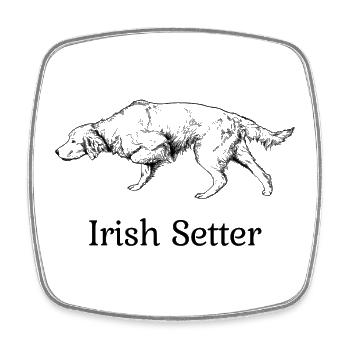 Irish Setter vorstehend - Viereckiger Kühlschrankmagnet - Weiß - Vorne