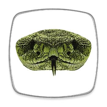 beste reptilien tees, schlangengesicht - Viereckiger Kühlschrankmagnet - Weiß - Vorne