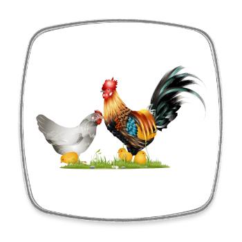 stately rooster with hen and chick offspring - Square fridge magnet - white - Front