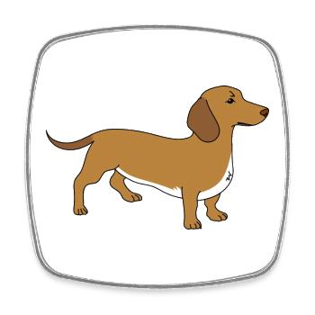 Dachshund - Square fridge magnet - white - Front
