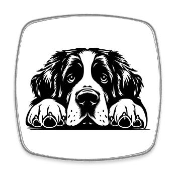 St. Bernard head with paws - Square fridge magnet - white - Front