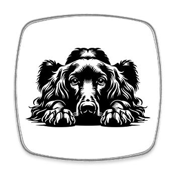 Irish Setter Kopf mit Pfoten - Viereckiger Kühlschrankmagnet - Weiß - Vorne