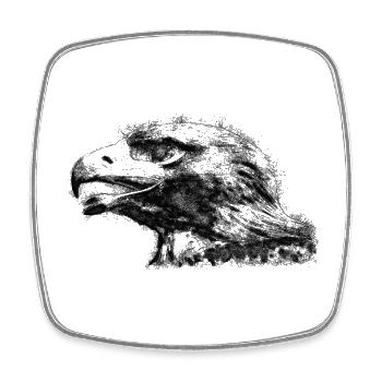 Eagle Head - Square fridge magnet - white - Front
