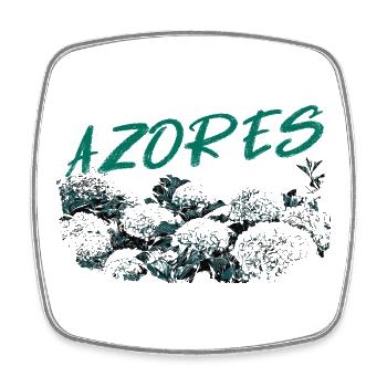 Azoren Botanische Hortensien Türkis - Viereckiger Kühlschrankmagnet - Weiß - Vorne