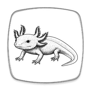 Axolotl Linienstil – schwarz - Viereckiger Kühlschrankmagnet - Weiß - Vorne
